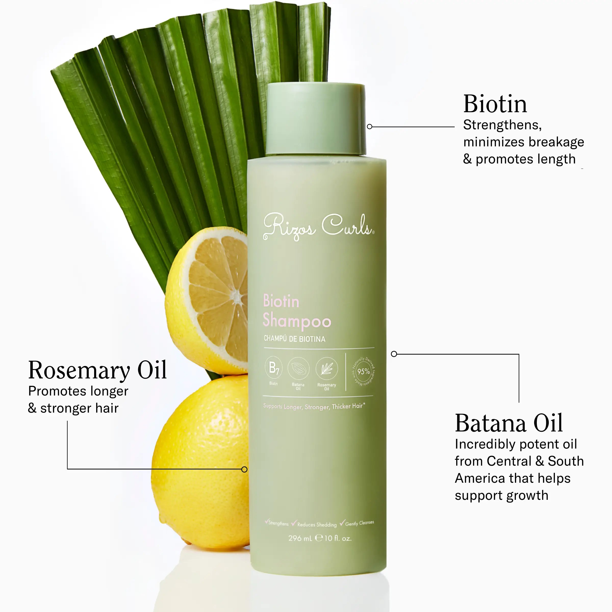 Rizos Curls biotinio šampūnas
