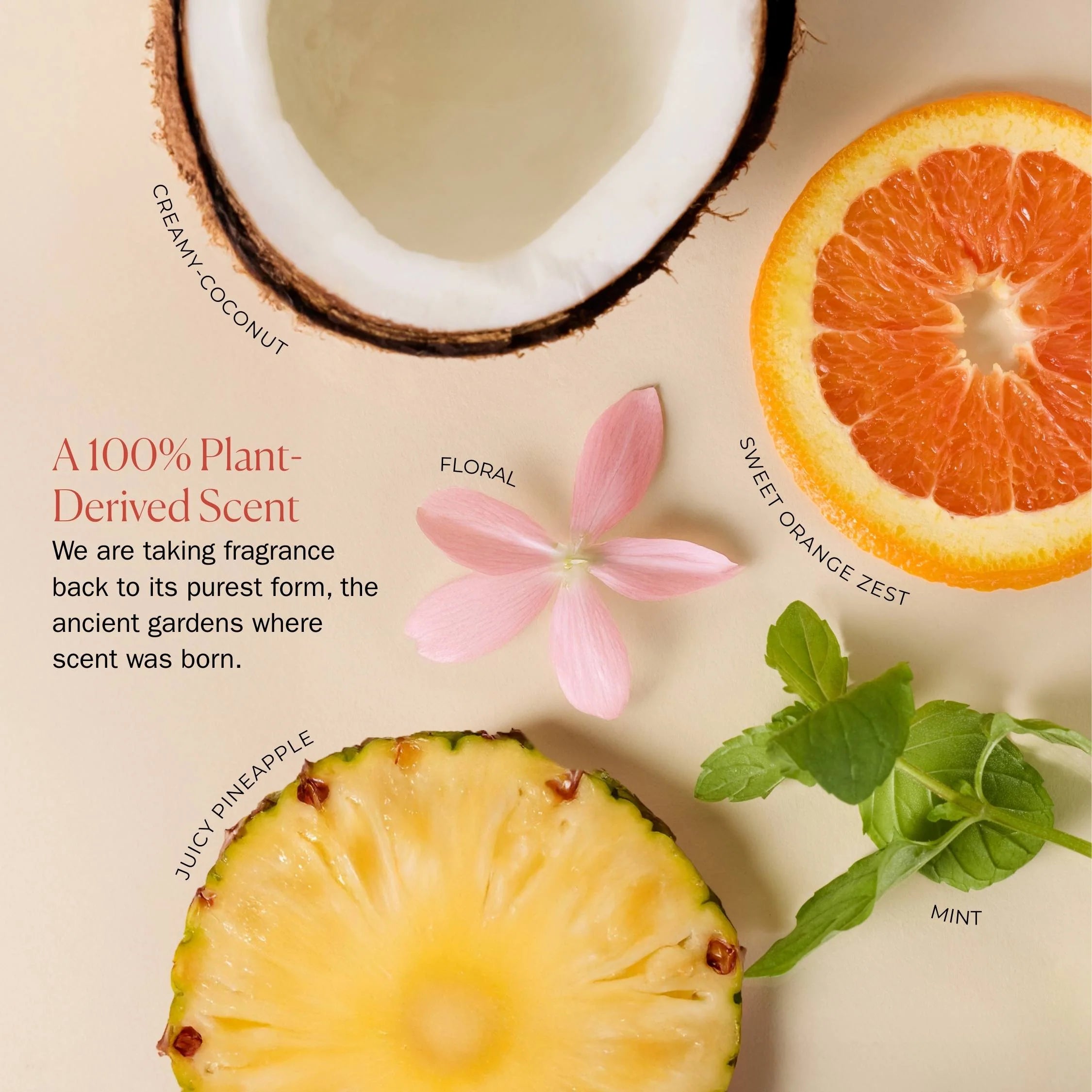 Bounce Curl Ceramide Jelly gelis | Weightless kolekcija (JAU GREITAI)